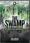 American Experience: The Swamp