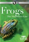 Nature: Frogs Thin Green Line